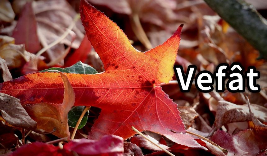 Yıldız Ailesinin Acı Günü