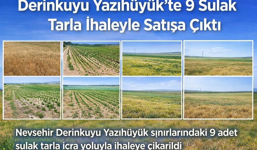 Derinkuyu Yazıhüyük’te 9 Sulak Tarla İhaleyle Satışa Çıktı