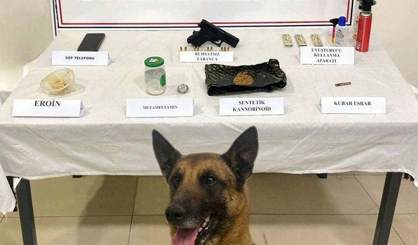 Kozaklı’da Zehir Tacirlerine Operasyon: Çok Sayıda Madde ve Silah Ele Geçirildi