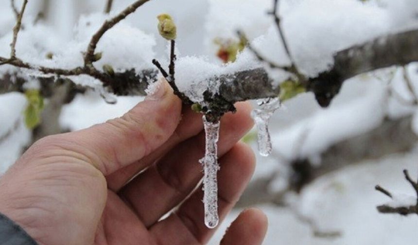 Nevşehir'de Zirai Don Bekleniyor!