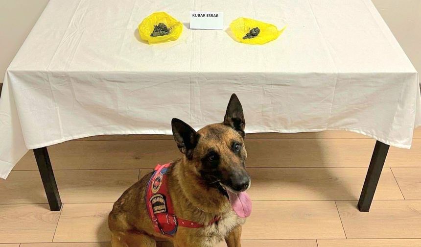 Nevşehir’de Jandarmadan Yol Kontrolünde Operasyon: 17 Gram Madde Ele Geçirildi