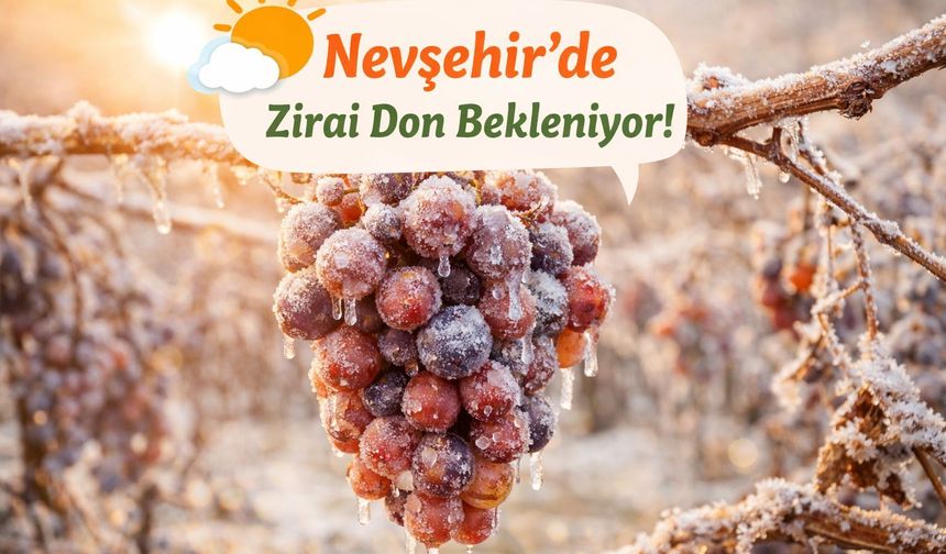 Nevşehir’de Zirai Don Bekleniyor!