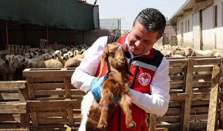Nevşehir’de “Cuma Buluşmaları” Kapsamında Üreticilere Bilgilendirme Yapıldı