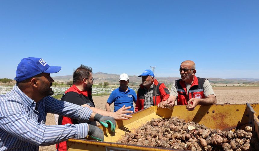 Nevşehir’de 45 Dekarlık Alanda Yer Elması Üretim Çalışması