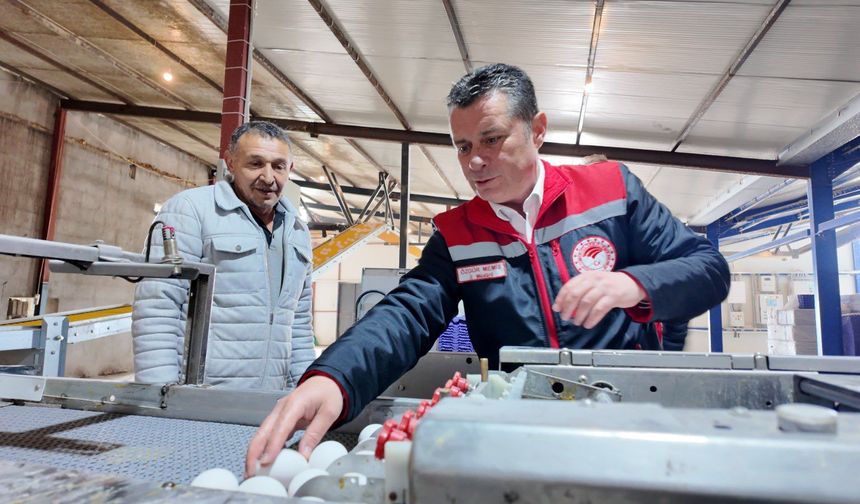 Nevşehir’de Yumurta Tavukçuluğu Tesisi Hibe Desteğiyle Kapasitesini Artırdı