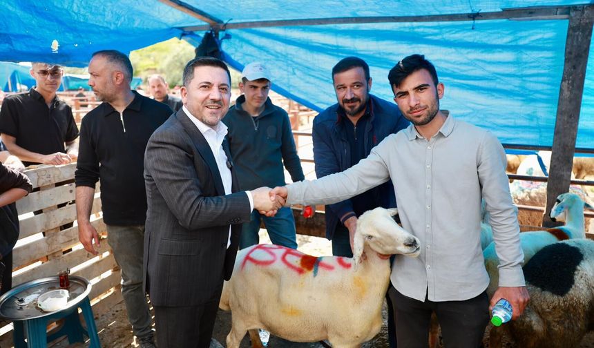 Belediye Başkanı Rasim Arı,Kurbanını Nevşehir Hayvan Pazarından Aldı