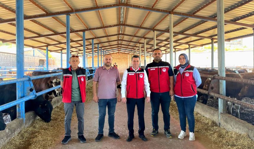Nevşehir’de İthal Büyükbaş Hayvanlara Sağlık ve Kontrol Denetimi