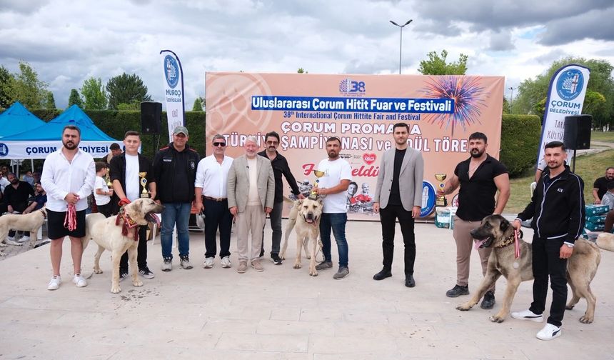 Nevşehirli Yetiştiriciler Çorum'daki Çoban Köpekleri Şampiyonası'na Katıldı