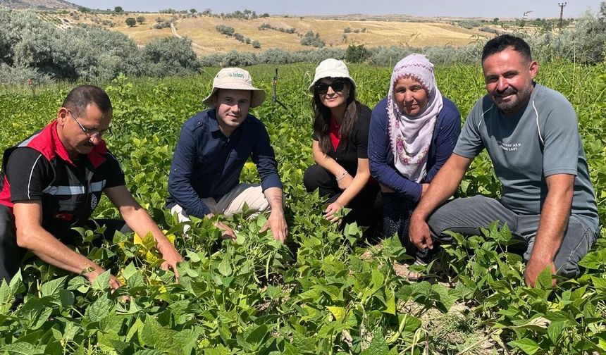 Nevşehir’de Kuru Fasulye Projelerinde Saha İncelemesi