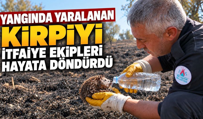 Yangında yaralanan kirpiyi itfaiye ekipleri hayata döndürdü