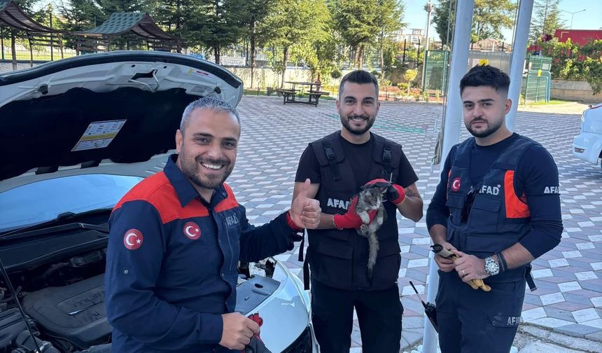 Nevşehir AFAD’dan Minik Can İçin Kurtarma Operasyonu