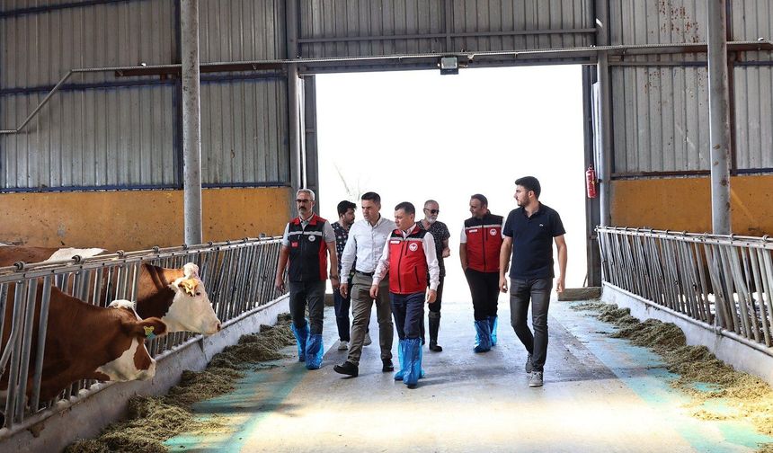 Nevşehir’de Hastalıktan Ari İşletme Sayısı Artıyor