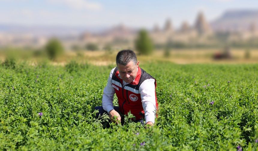 Nevşehir’de Yem Bitkilerinde Planlı Üretim Desteği İçin Kontroller Sürüyor