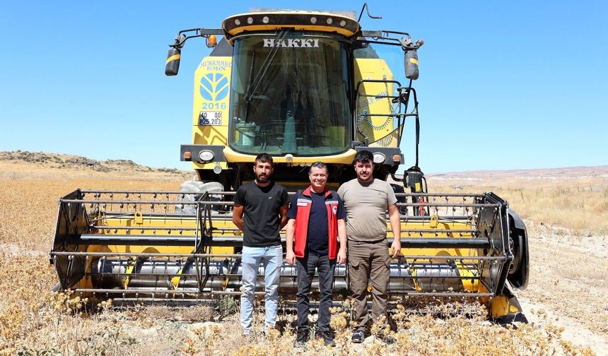 Nevşehir Türkiye’de 5. Sırada Aspir Hasadı Başladı