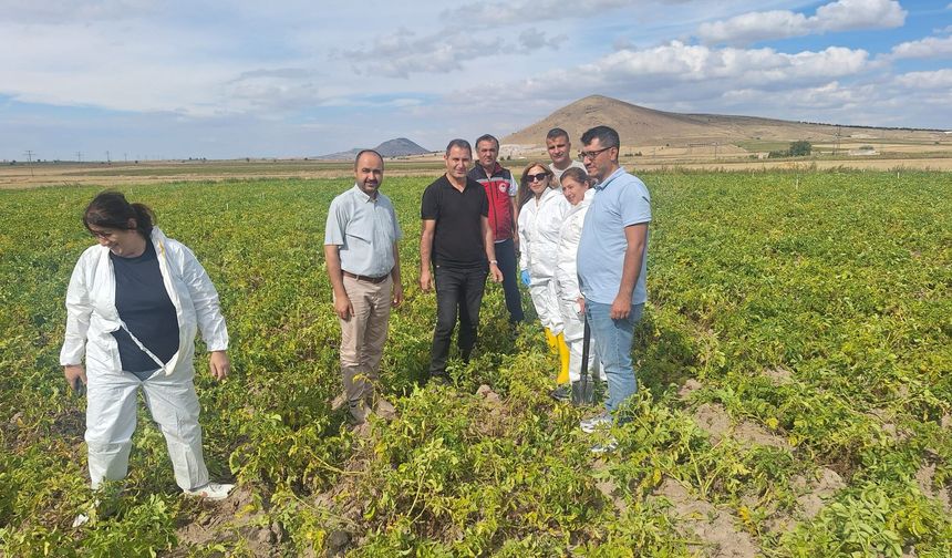 Nevşehir’de Patates Üretiminde Karantina Tedbirleri Değerlendirildi