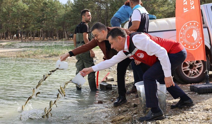 Nevşehir’de 5 Su Kaynağına 725 Bin Yavru Sazan Bırakıldı