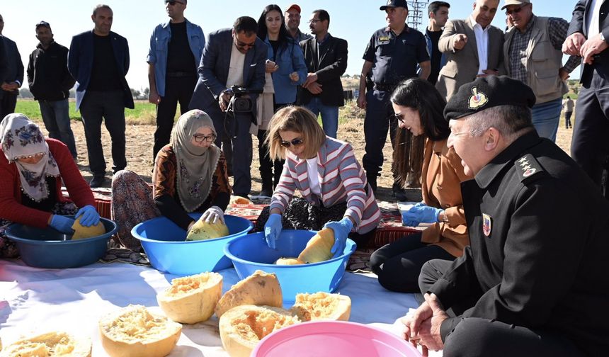 Nevşehir'de Çerezlik Kabak Çekirdeği Hasadı Başladı