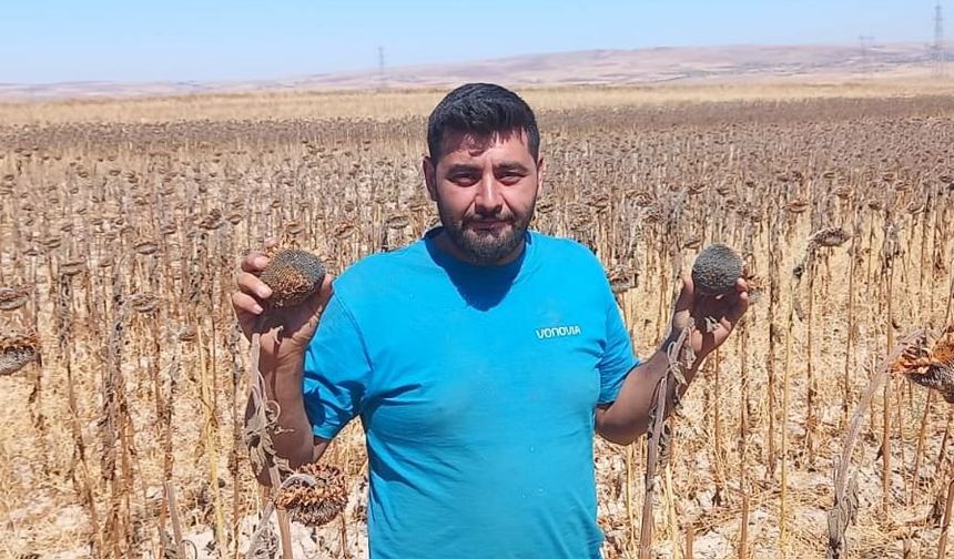 ''Ay Çekirdeği Hem Kendini Yaktı, Hem De Beni Yaktı''