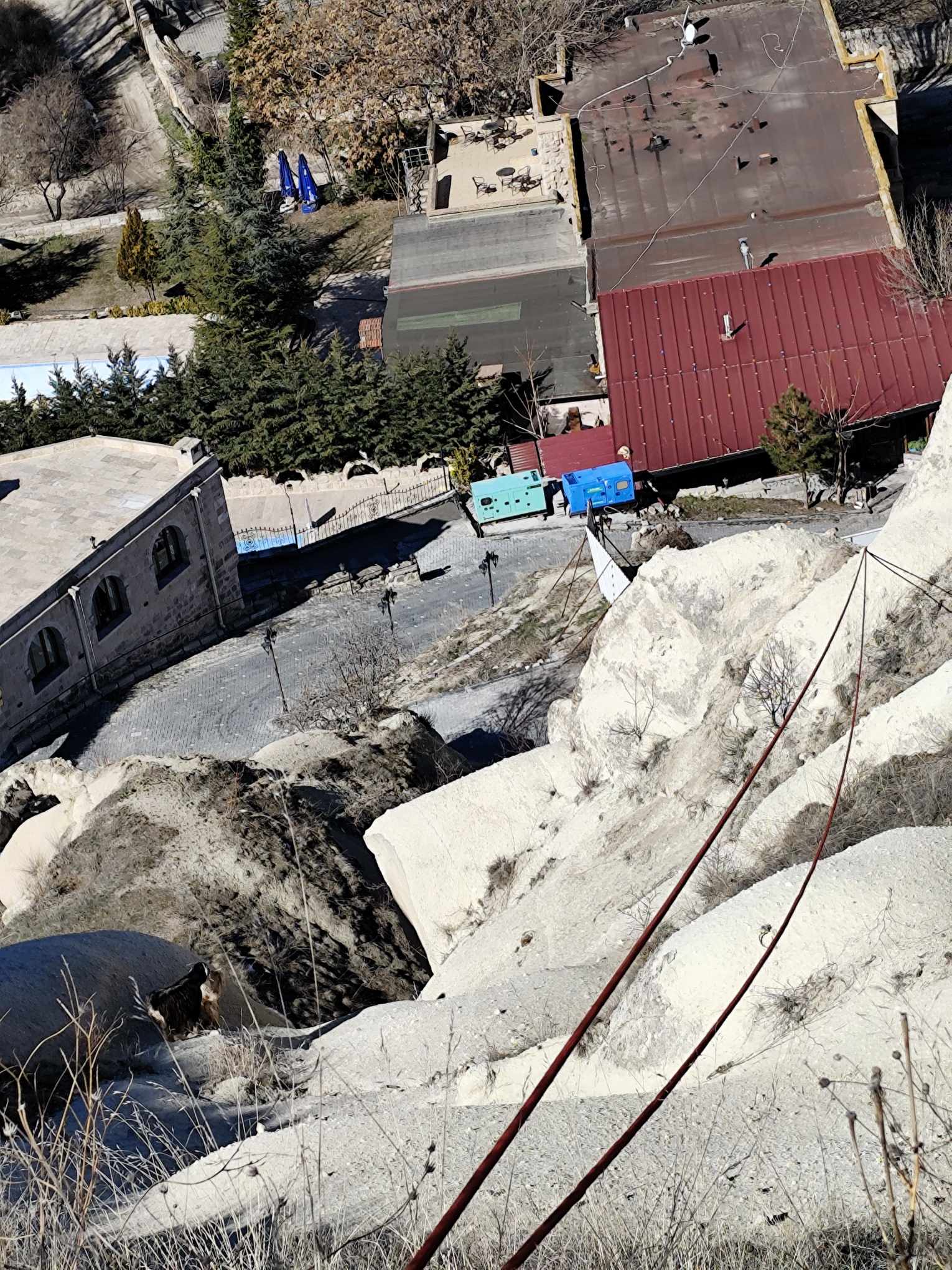 I M G 20250307 W A0015