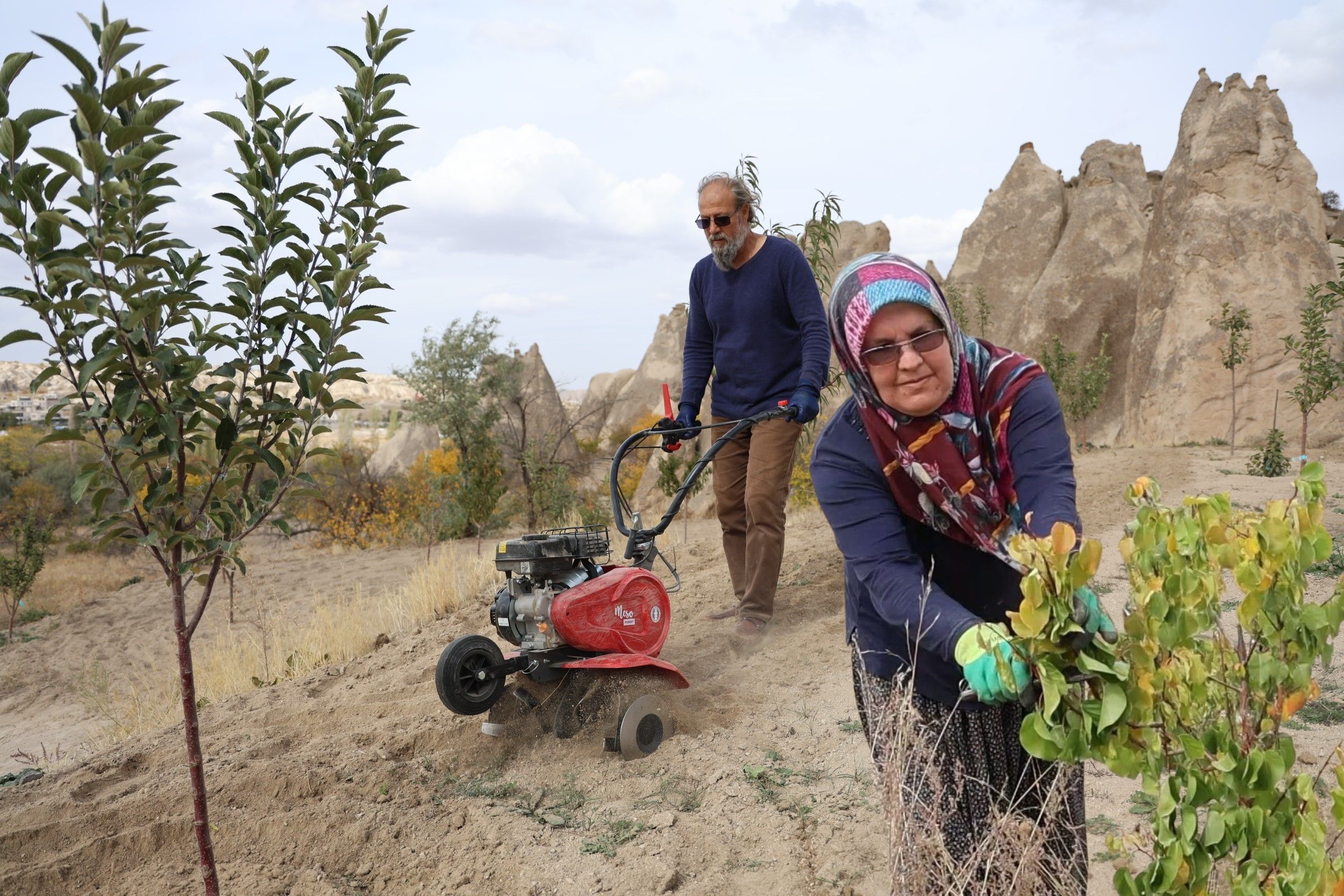 Nevşehir’de Peribacalarını Ağaçlarla Güzelleştiriyorlar