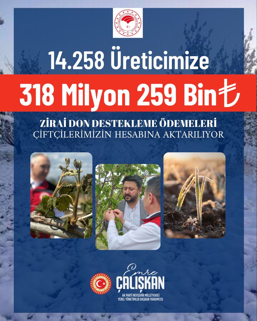 20251020 235354