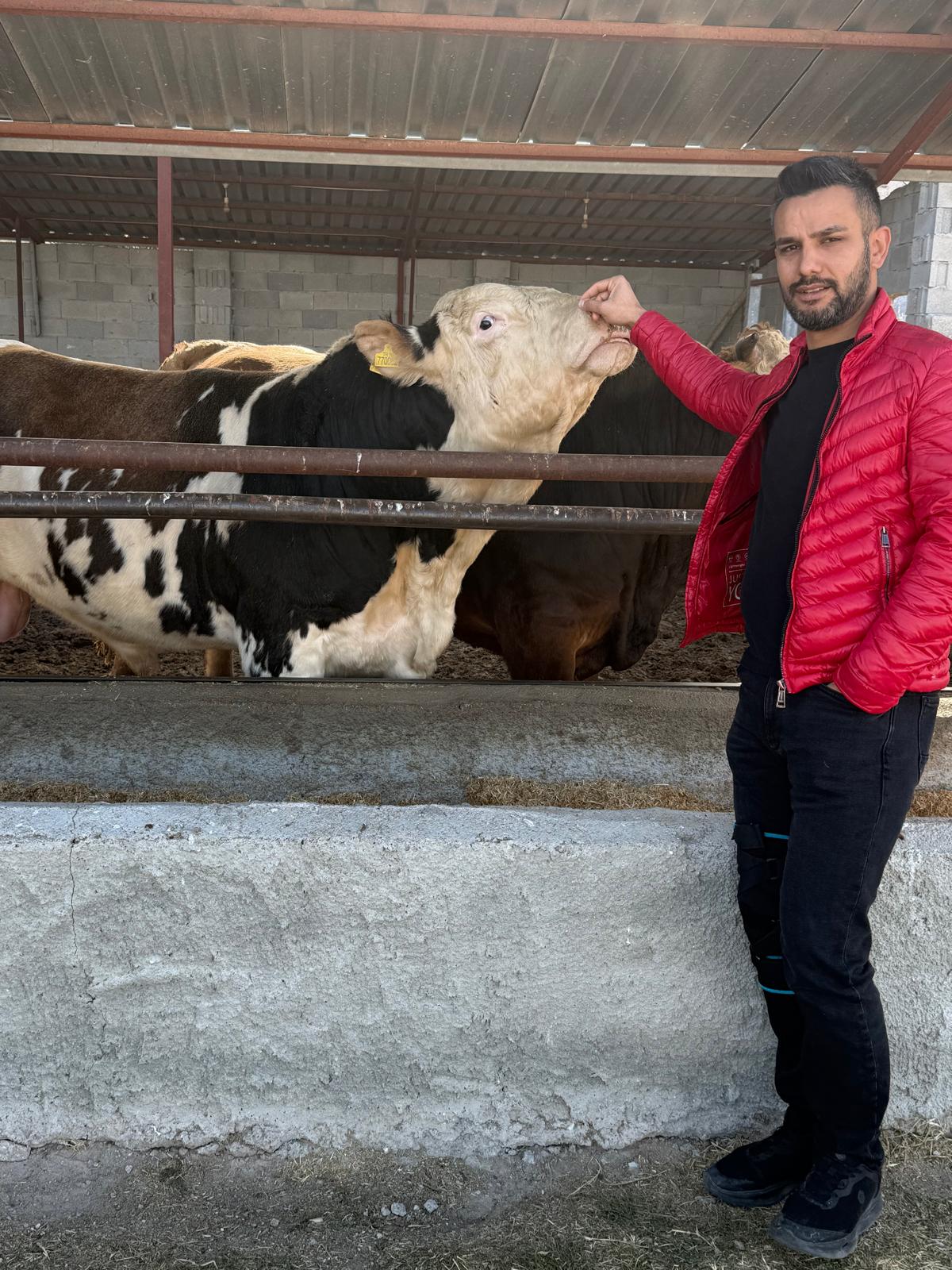 I M G 20251101 W A0004-1