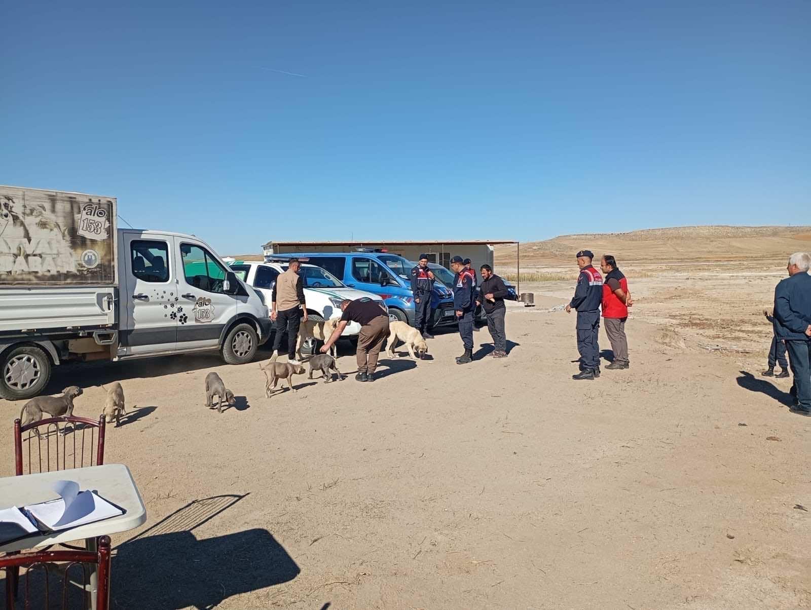 I M G 20251104 W A0001