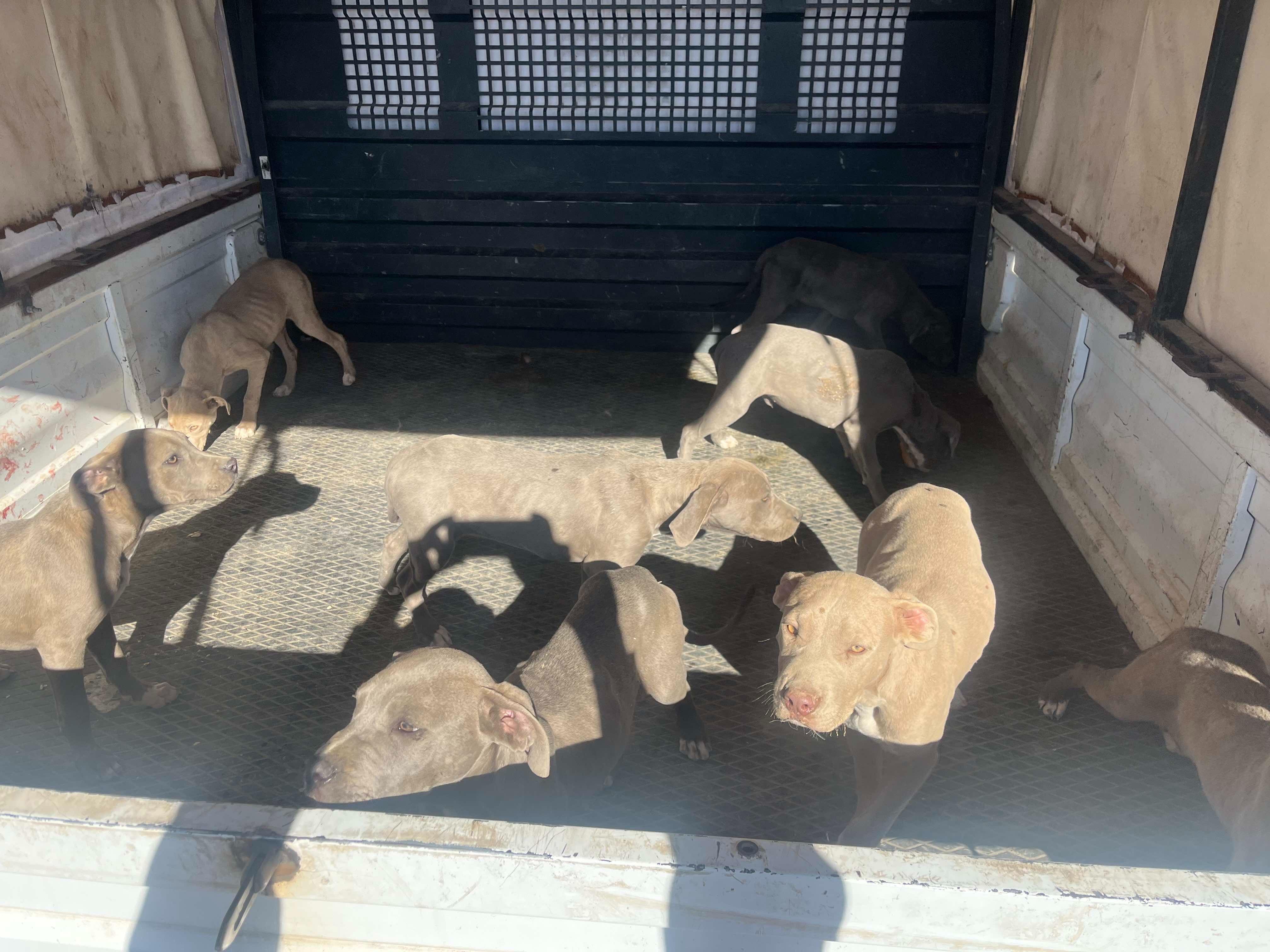 I M G 20251104 W A0003