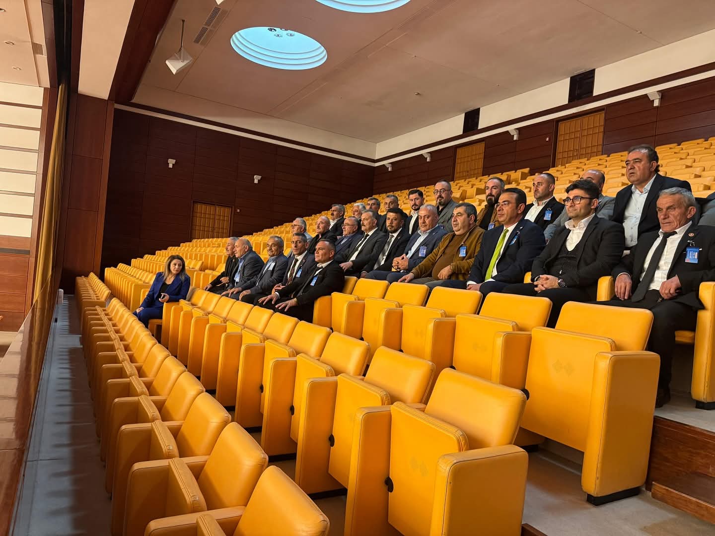 I M G 20251105 W A0006