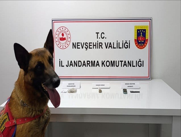 I M G 20251106 W A0003