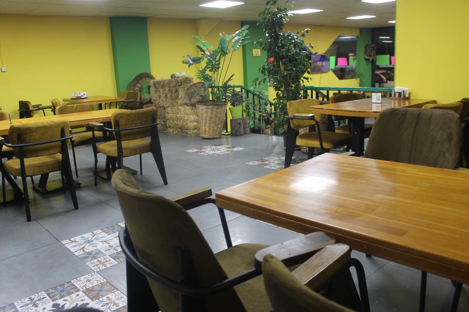 I M G 20251118 W A0056