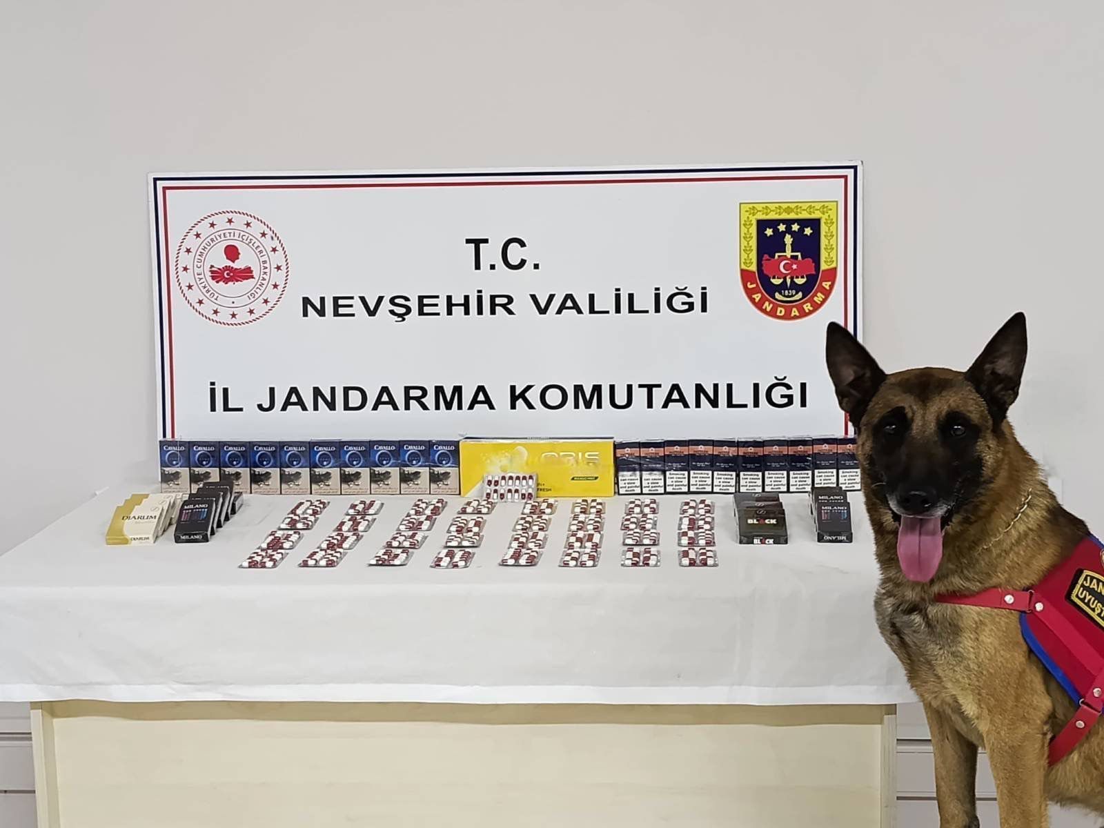 I M G 20251120 W A0025