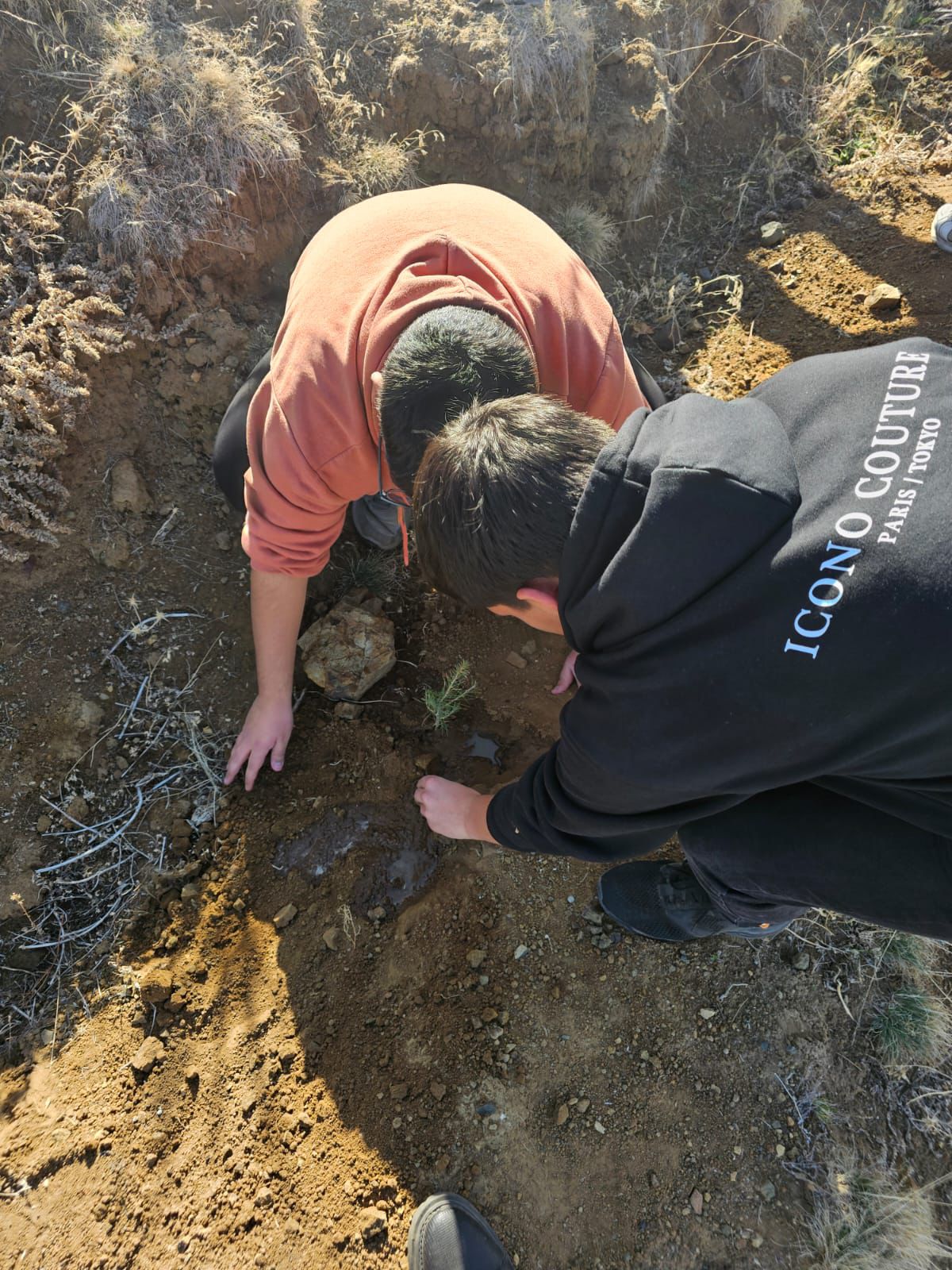 I M G 20251129 W A0019