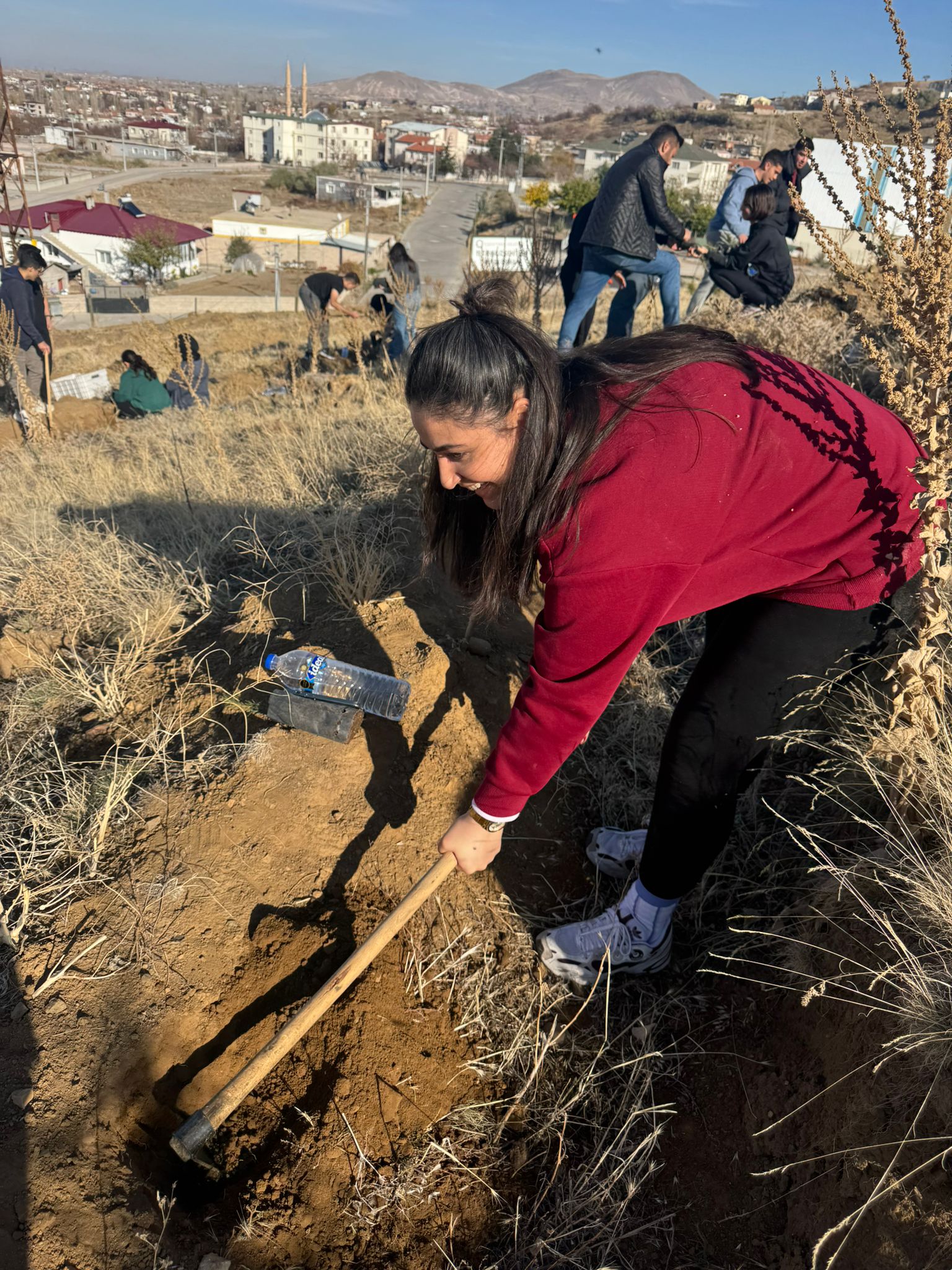 I M G 20251129 W A0021