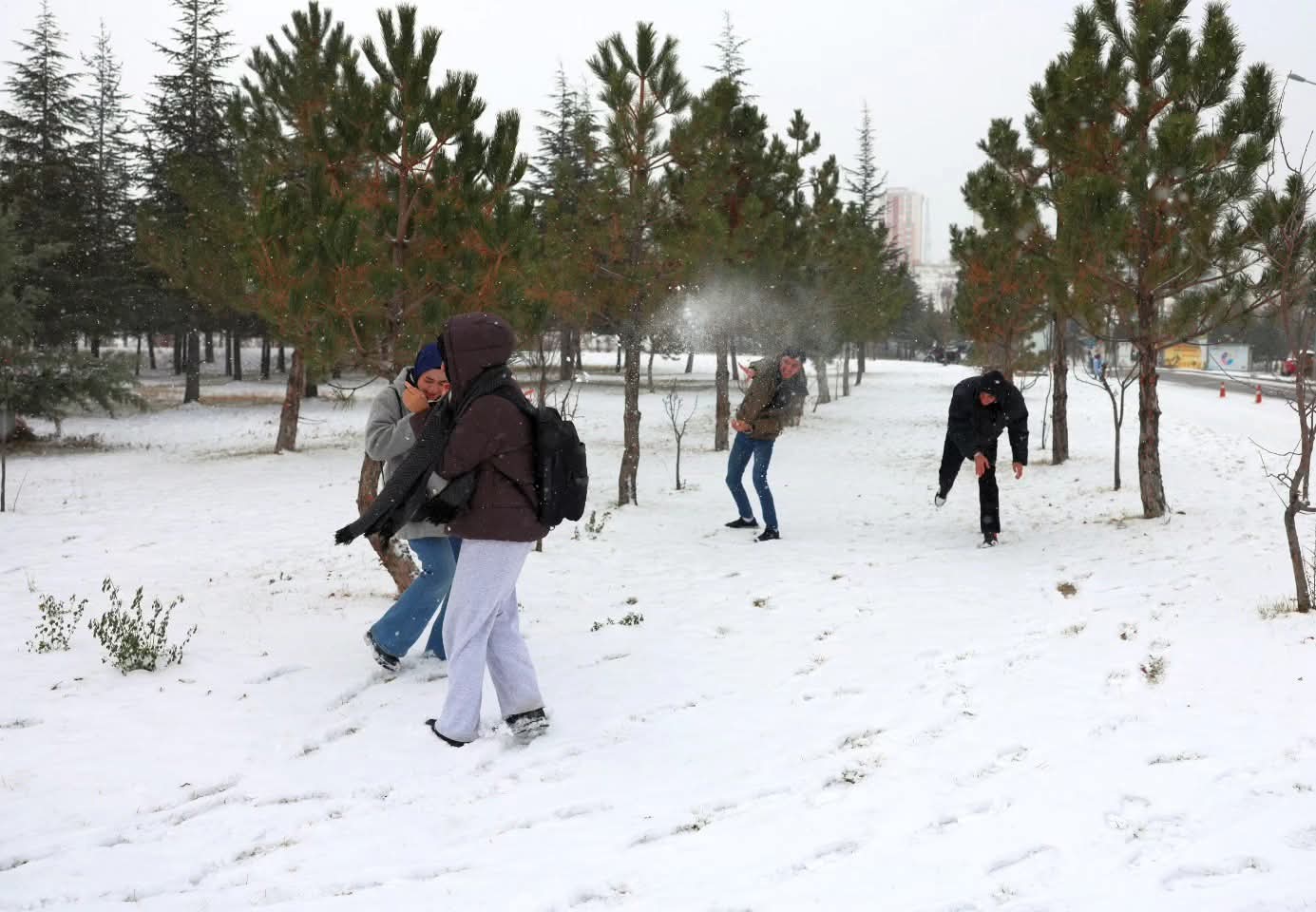 F B I M G 1767004365890