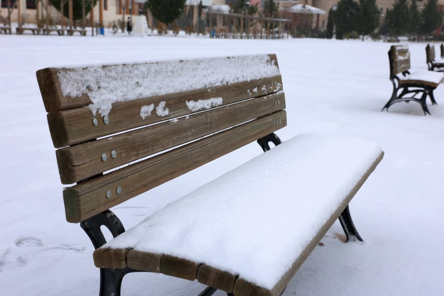 F B I M G 1767004370933