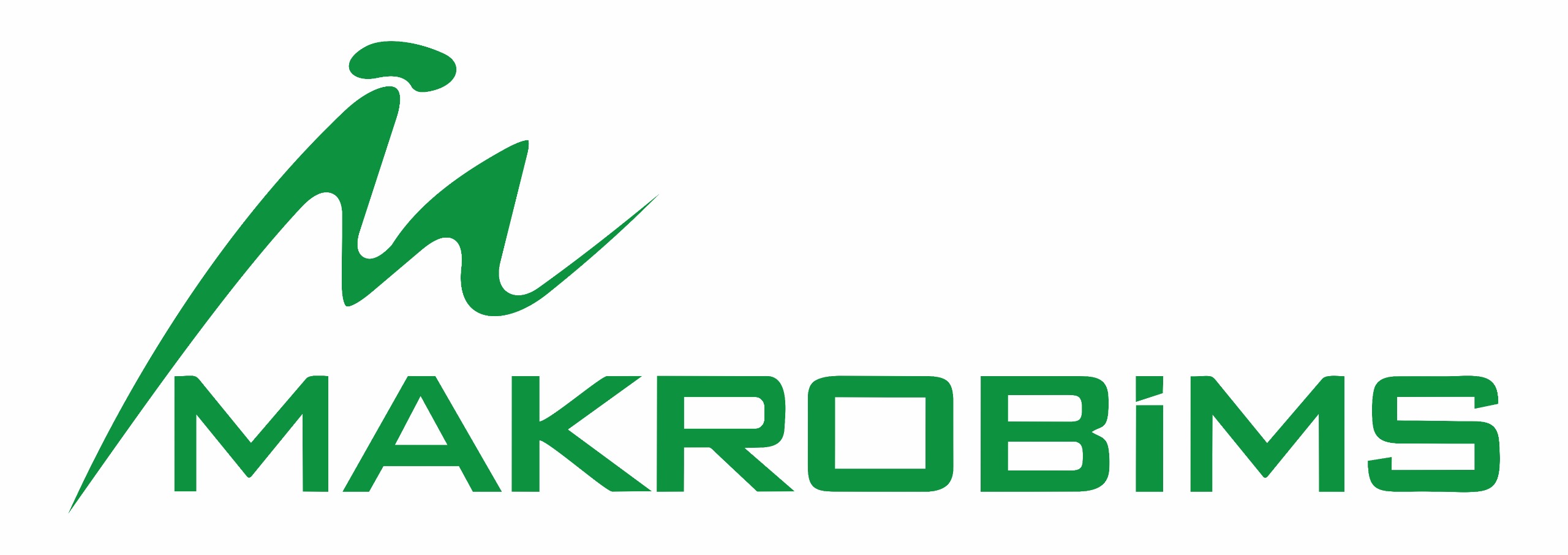 I M G 20251211 W A0004-1