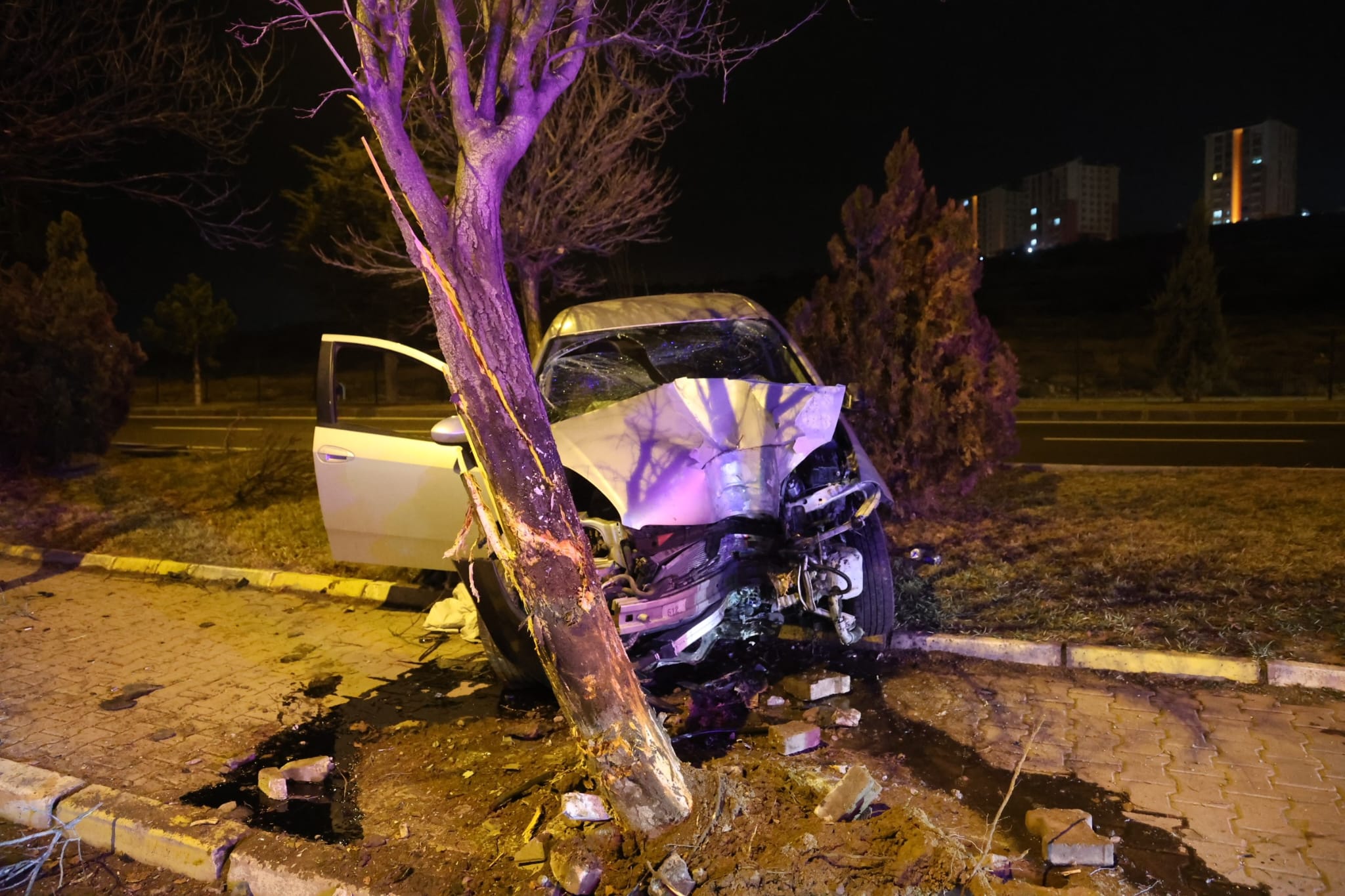 I M G 20251226 W A0011