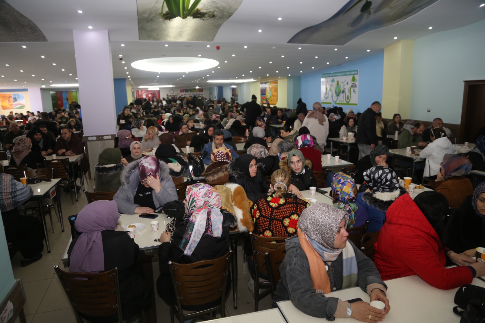 A31D2E0E 833B 4232 8F28 86Aff378F43B