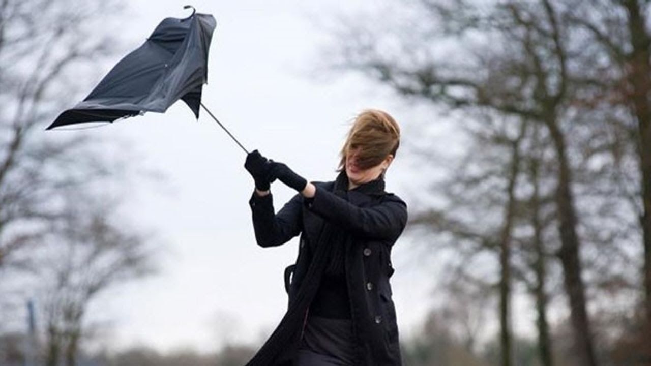 I M G 20250328 W A0022-2