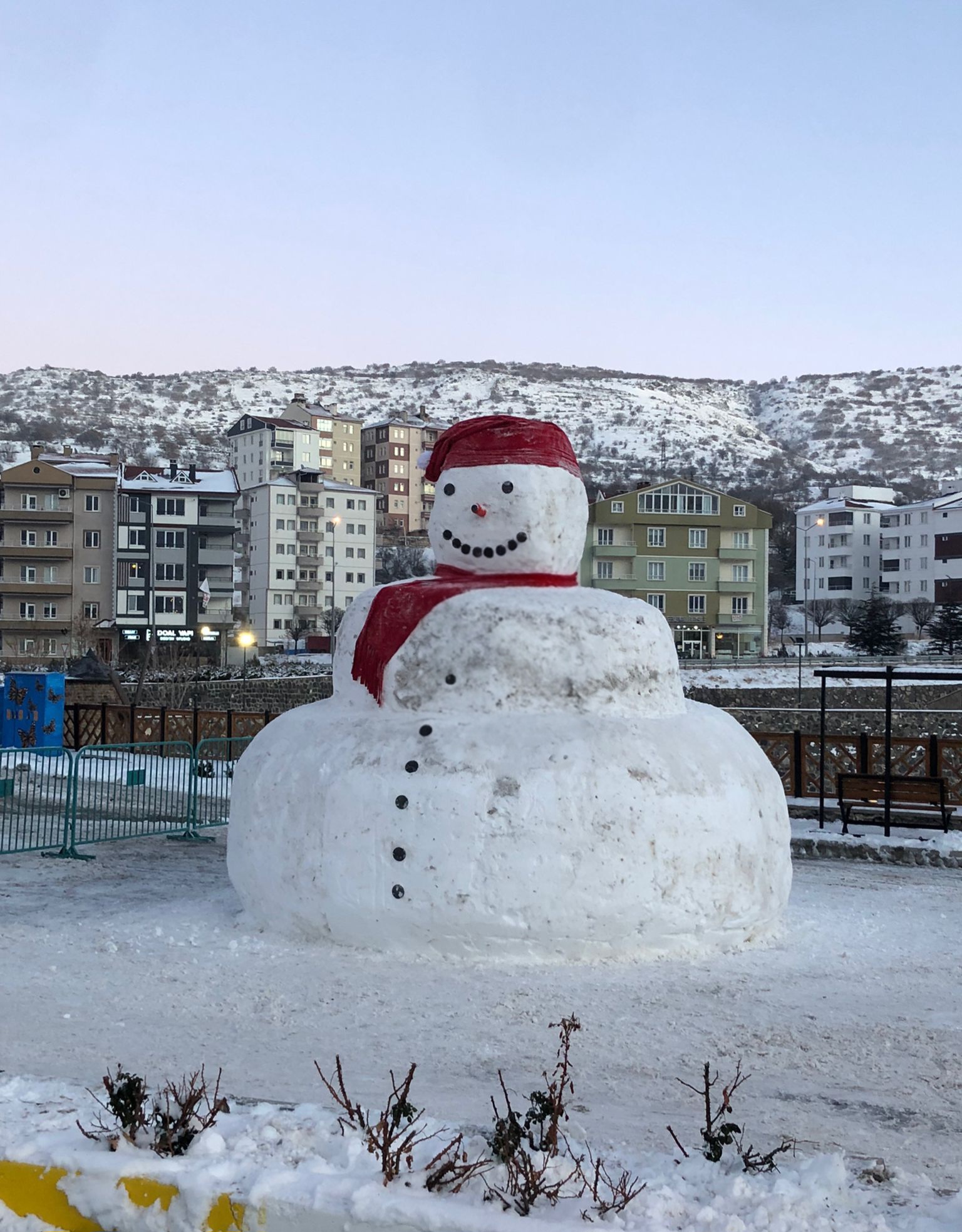 I M G 20260102 W A0018(1)