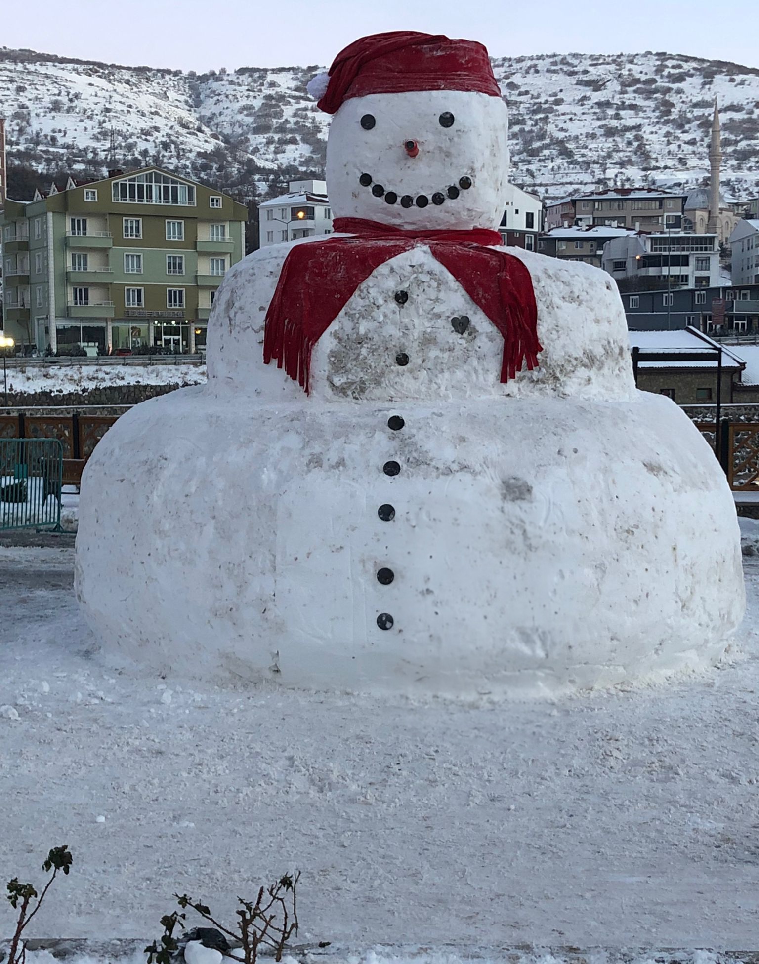 I M G 20260102 W A0019(1)