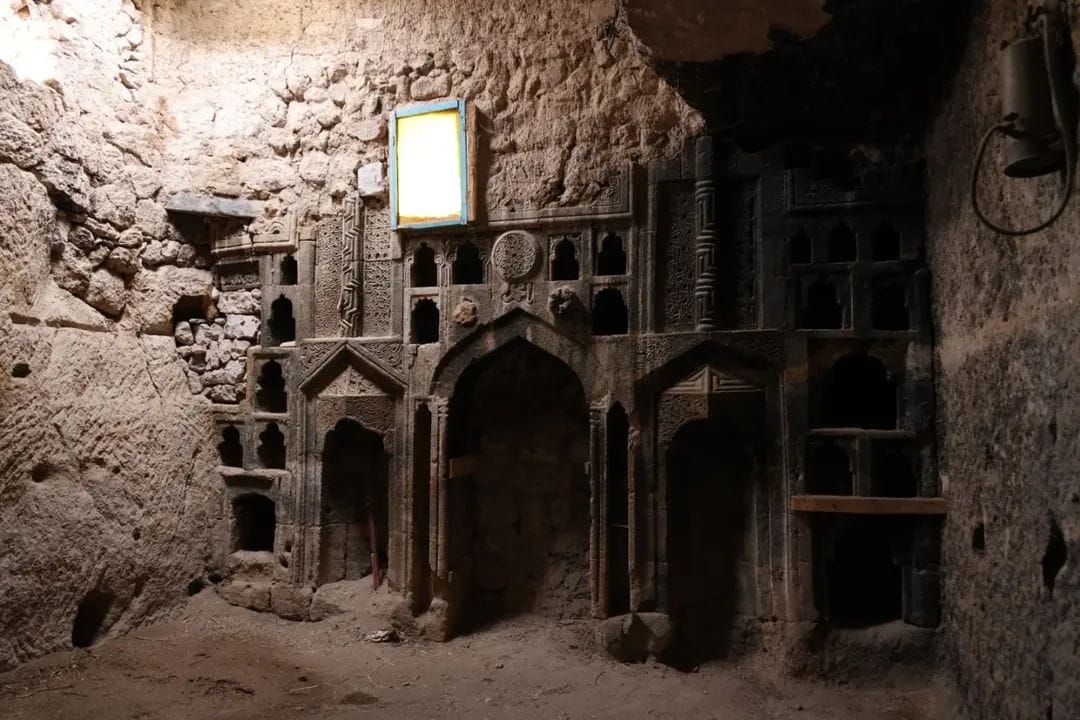 I M G 20260109 W A0053