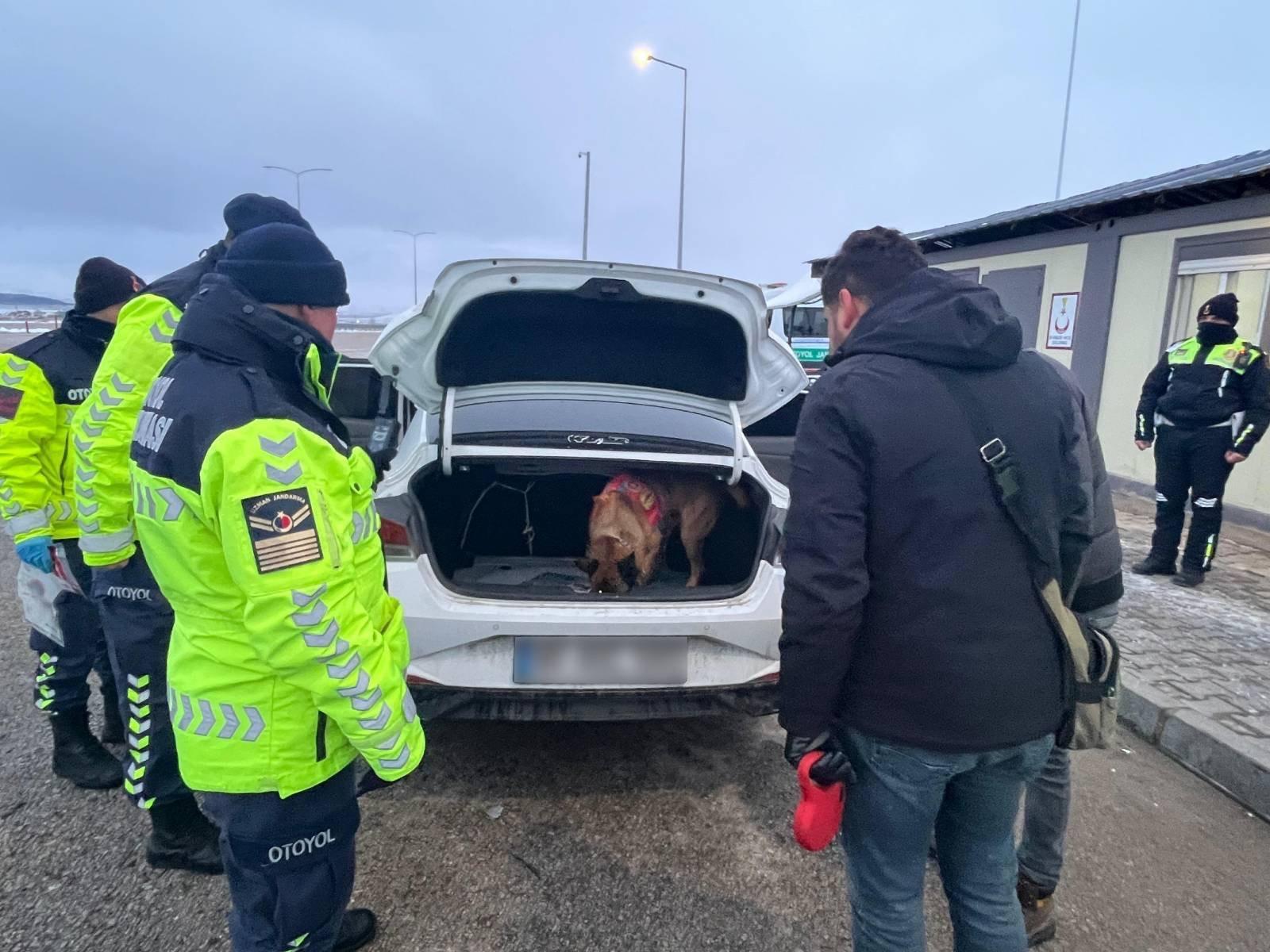 I M G 20260115 W A0005