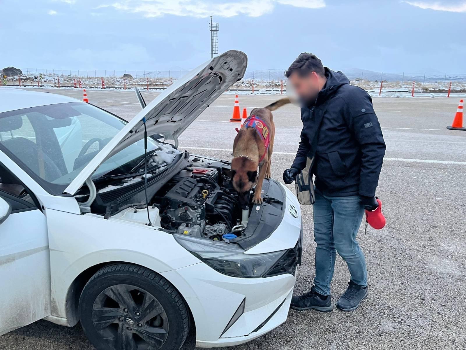 I M G 20260115 W A0006