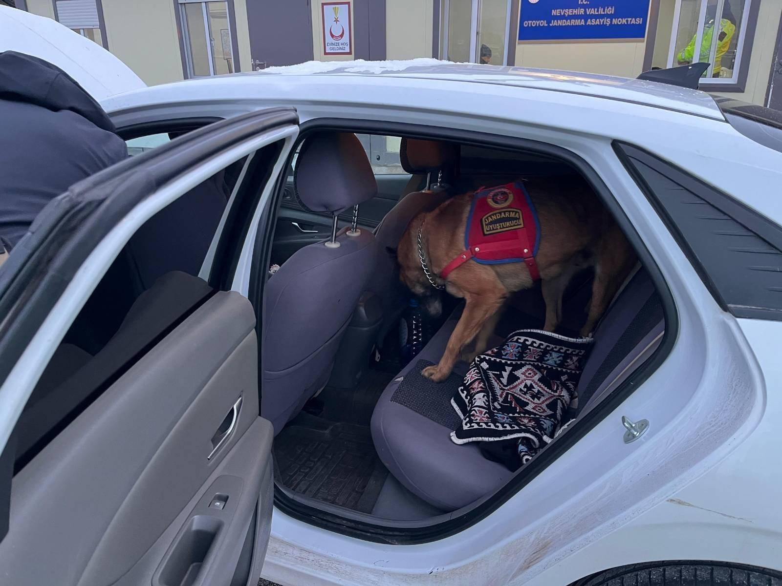 I M G 20260115 W A0007