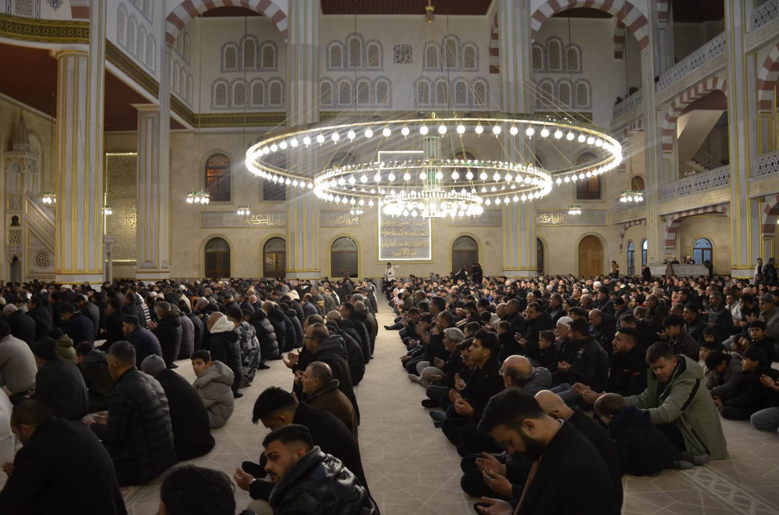 I M G 20260115 W A0080