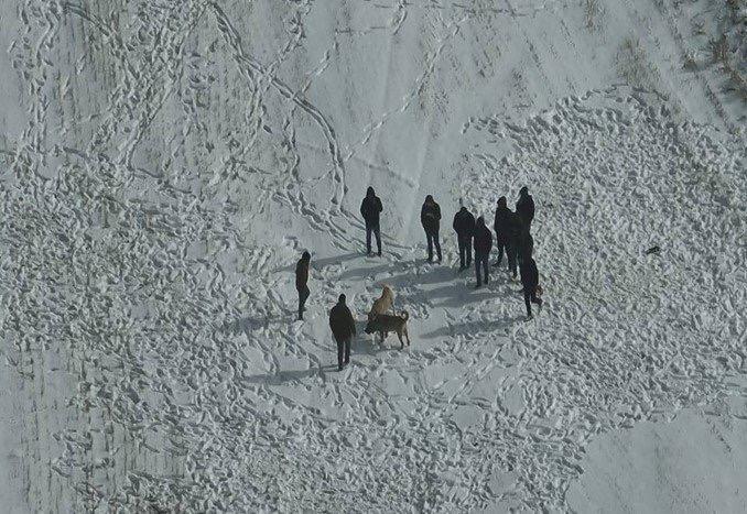 I M G 20260119 W A0006