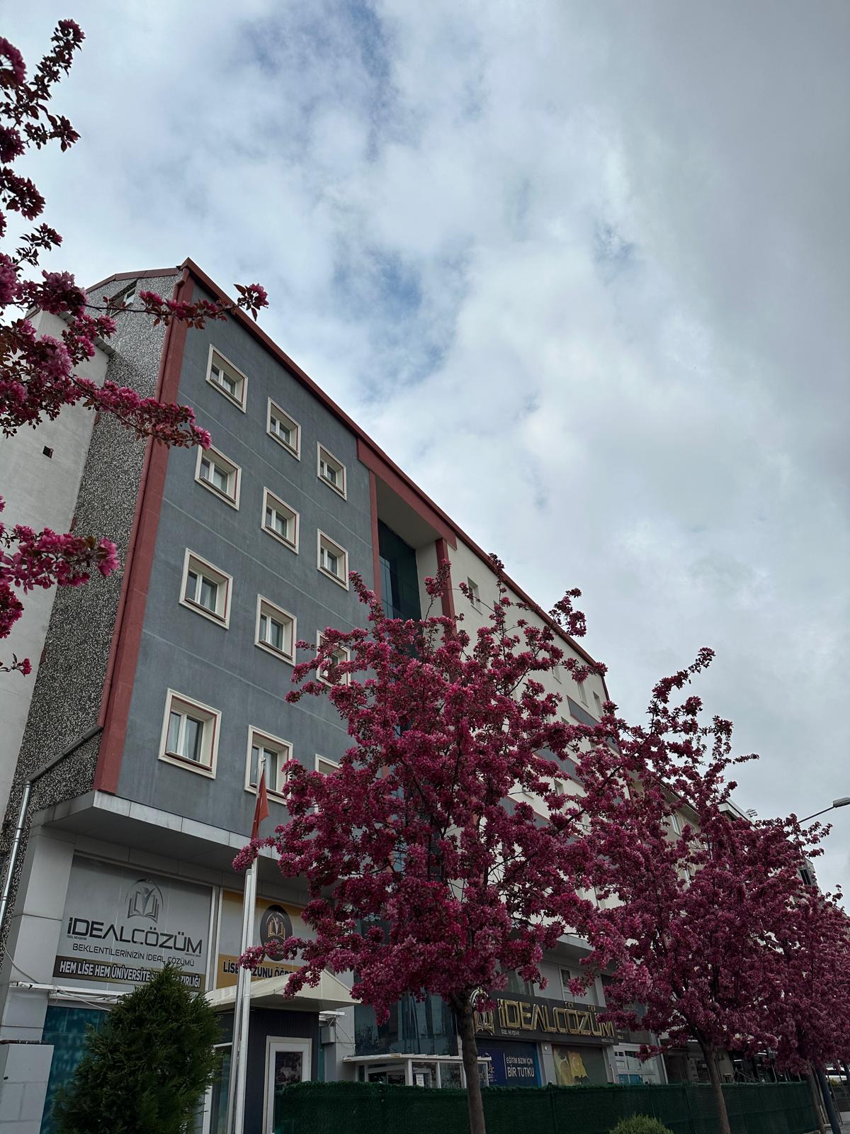 I M G 20260203 W A0006