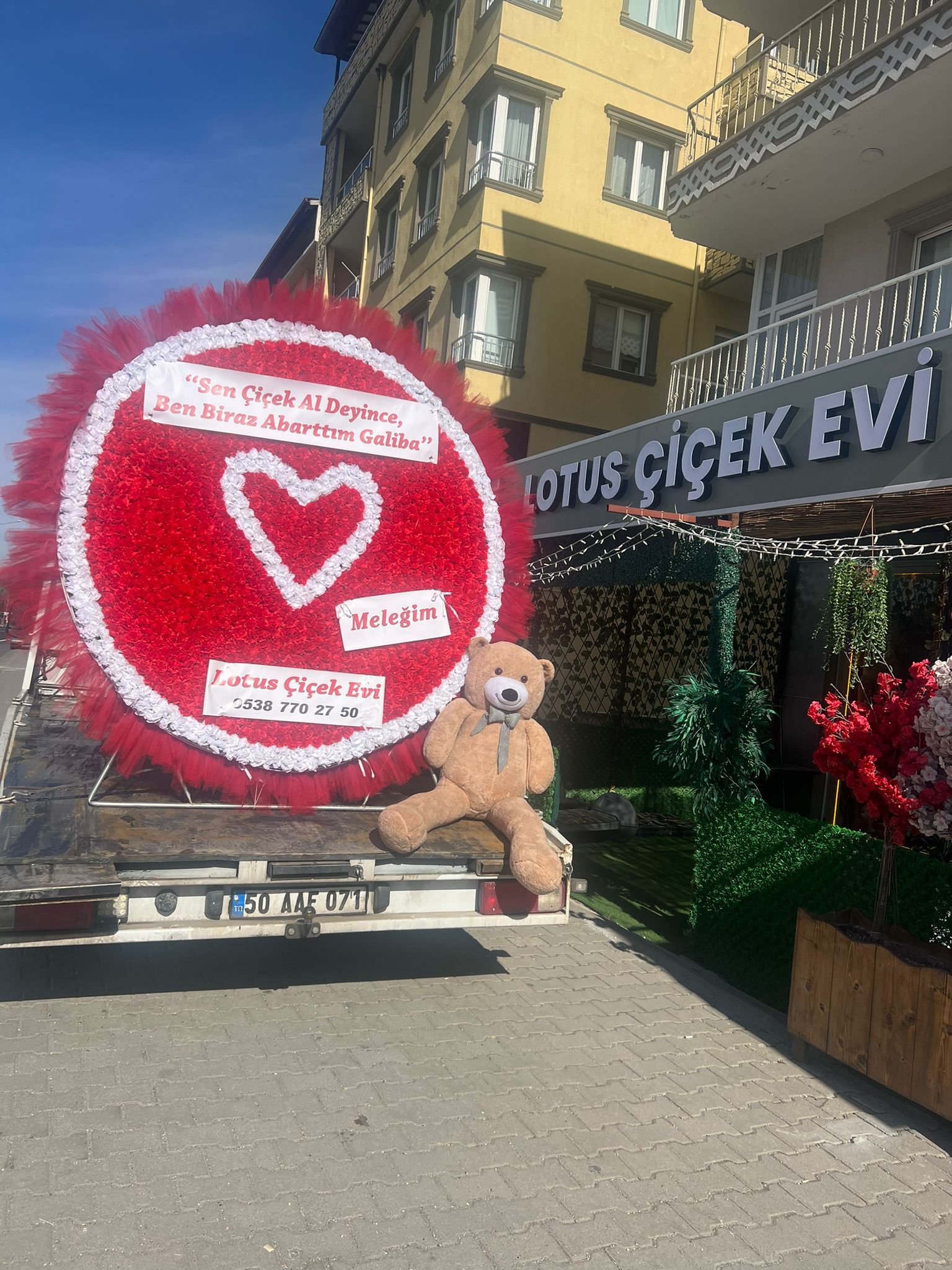 I M G 20260206 W A0022